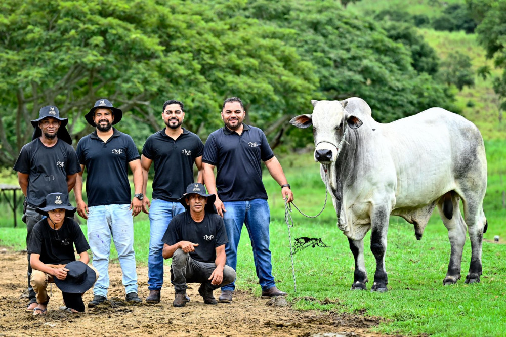 Fazenda JR - Foto: Reprodução 